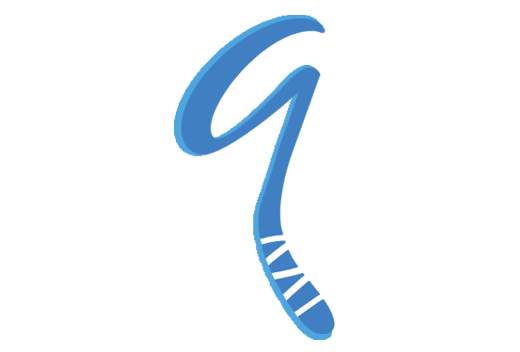 Qinetic Hockey Stick Logo